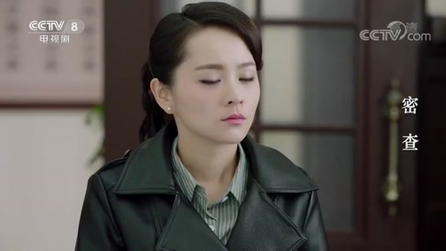 正在播放《密查》众人得知武伯英与武仲明是孪生兄弟震惊不已