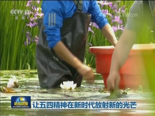 让五四精神在新时代放射新的光芒