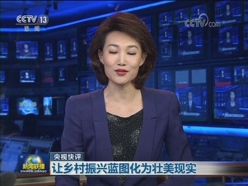 【央视快评】让乡村振兴蓝图化为壮美现实