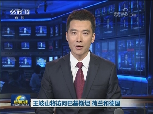 王岐山将访问巴基斯坦 荷兰和德国