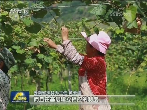 【“不忘初心、牢记使命”主题教育进行时】学深改实见成效