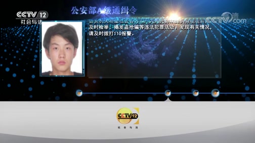 《天网》 20190722 年关将至CCTV节目官网CCTV12央视网(cctv.com)