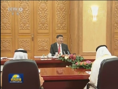 习近平同阿联酋阿布扎比王储举行会谈