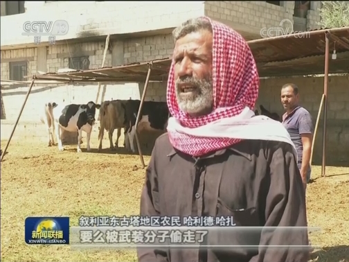 叙利亚东古塔回正轨 农牧业逐步恢复
