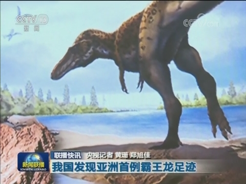 国内联播快讯