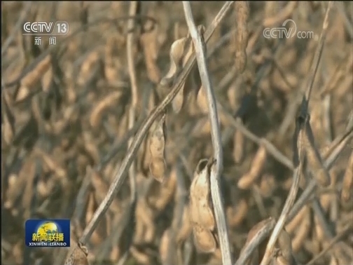 欧洲央行警告全球增长前景或进一步恶化