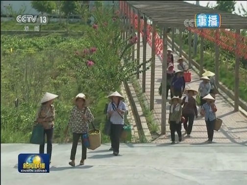 “不忘初心、牢记使命”主题教育进行时
