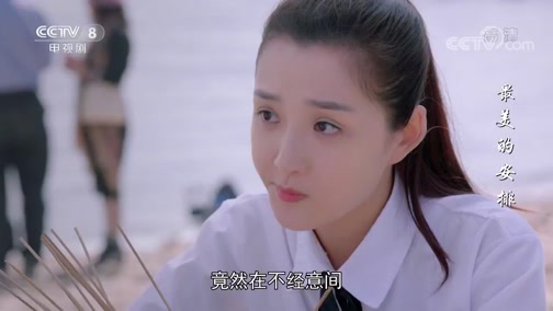 最美的安排 12集