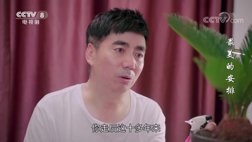 最美的安排 35集