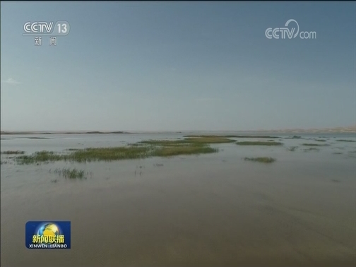 疏勒河终端湖“哈拉奇”近300年后重现