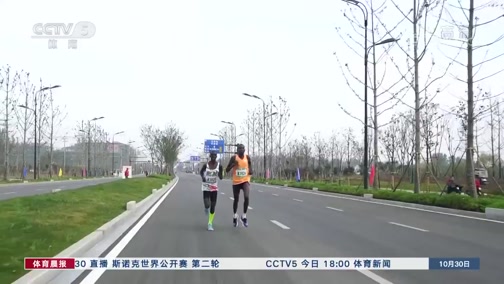 [田径]2019年凤阳明中都国际马拉松赛鸣枪开跑CCTV节目官网CCTV5央视网(cctv.com)