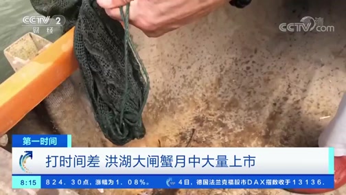 [第一时间]打时间差 洪湖大闸蟹月中大量上市CCTV节目官网CCTV2央视网(cctv.com)