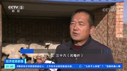 [经济信息联播]宁夏盐池滩羊价格大幅上涨CCTV节目官网CCTV2央视网(cctv.com)