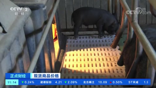 [正点财经]现货商品价格 贵州丹寨:生态养猪变“金猪”CCTV节目官网CCTV2央视网(cctv.com)