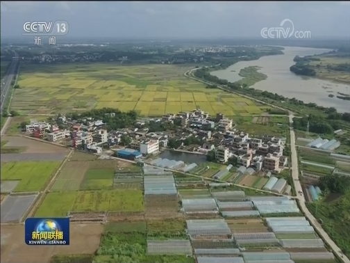 海南：驻村工作队 助力乡村振兴