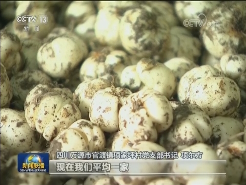 【“不忘初心、牢记使命”主题教育进行时】周永开：扎根大山 愿为树根作底肥