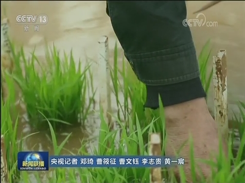 “时代楷模”朱有勇先进事迹报告会今天在京举行