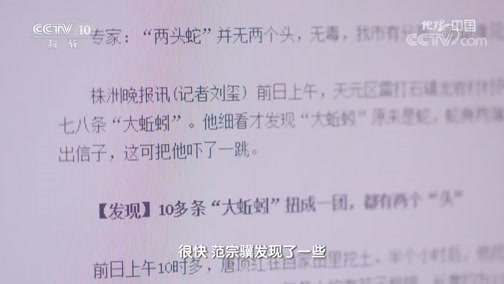 [地理ⷤ𘭥›𝝥‰禯’蛇类“双头蛇”CCTV节目官网CCTV10央视网(cctv.com)