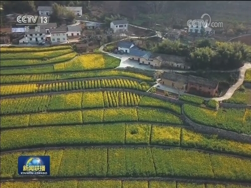 确保如期高质量完成脱贫攻坚任务——习近平总书记在决战决胜脱贫攻坚座谈会上的重要讲话在各地引发强烈反响