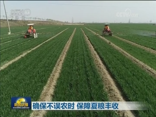 确保不误农时 保障夏粮丰收