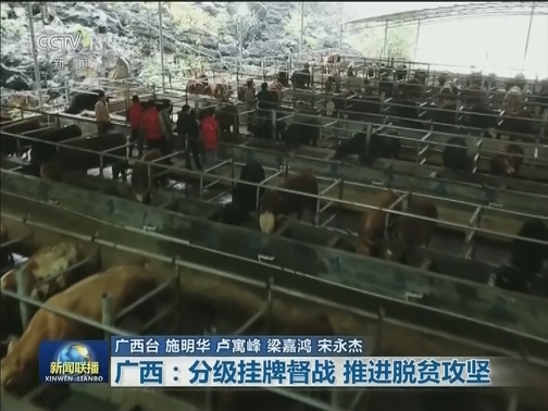 广西：分级挂牌督战 推进脱贫攻坚
