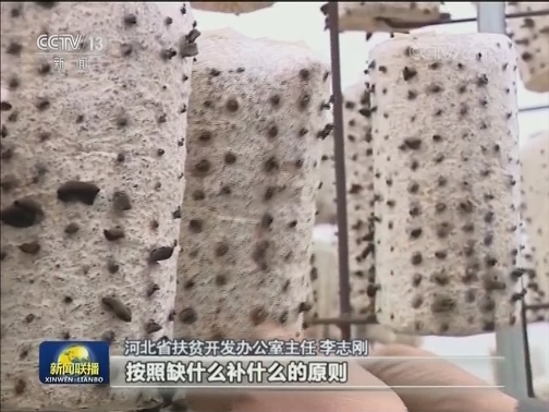 河北：13项硬措施 建立长效脱贫防贫机制