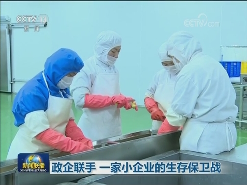 政企联手 一家小企业的生存保卫战