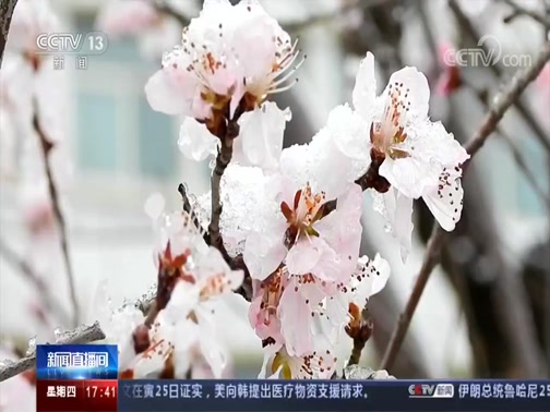 [新闻直播间]山西朔州 大范围雨雪天气 最高温下降18℃CCTV节目官网CCTV13央视网(cctv.com)