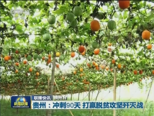 国内联播快讯