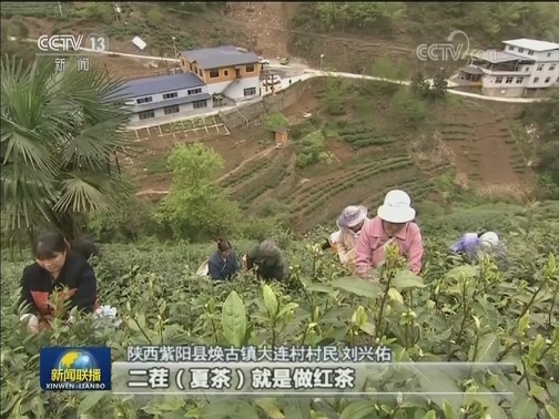 陕西：精准施策 确保剩余贫困人口如期脱贫