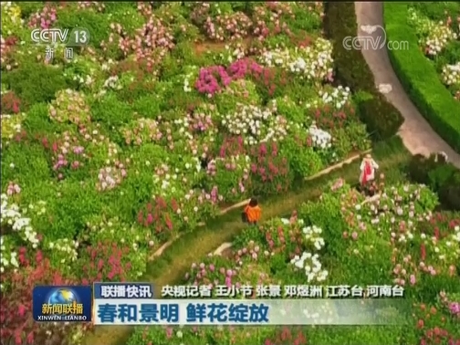 国内联播快讯