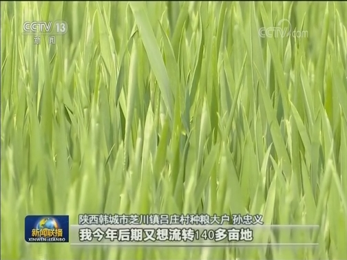 高效推进春耕春管 打牢粮食丰收基础