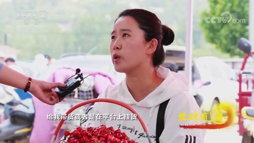 [生财有道]海鸥在面前飞来飞去 喂海鸥深受游客喜爱!