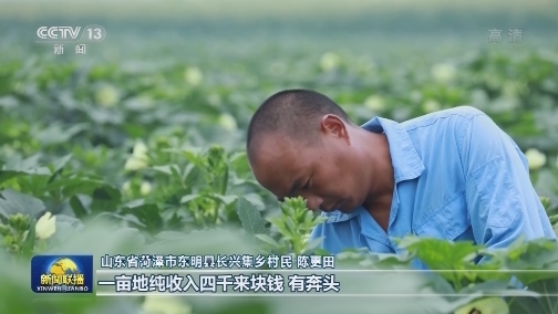 【走向我们的小康生活】山东黄河滩区：农民画里的新生活