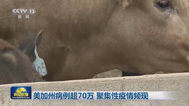 世卫：全球新冠肺炎确诊病例超2482万