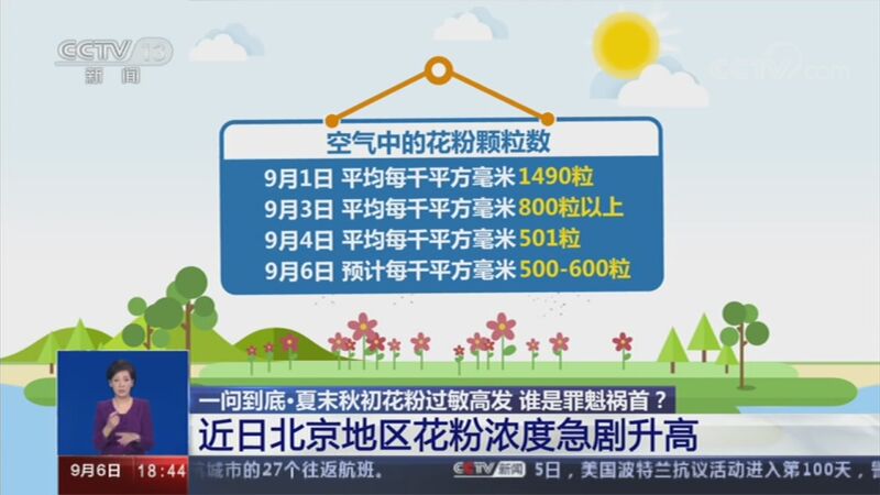 共同关注 一问到底 夏末秋初花粉过敏高发谁是罪魁祸首 近日北京地区花粉浓度急剧升高