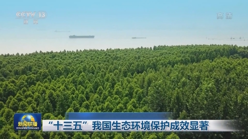 “十三五”我国生态环境保护成效显著