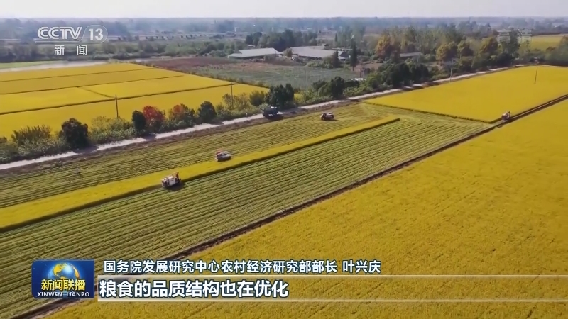 【“十三五”成就巡礼】中国人的饭碗牢牢端在自己手上