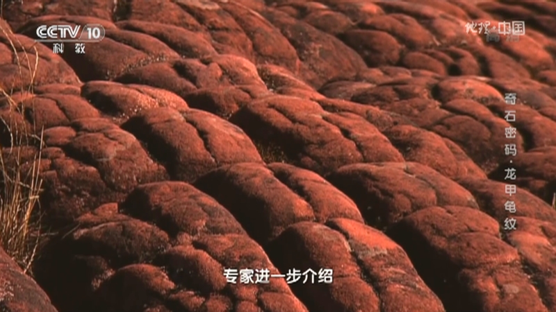 [地理·中国]形成龟甲纹和龟背石的原理