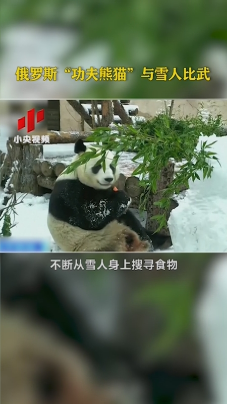 功夫熊猫雪人图片