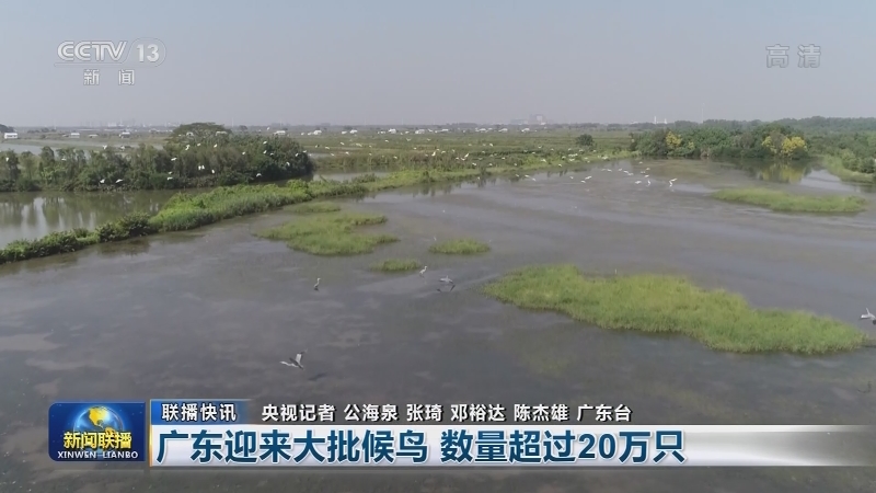 国内联播快讯