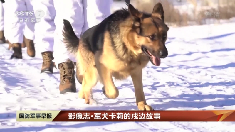 国防军事早报 伊朗驳斥蓬佩奥无端指控 没人会上你当