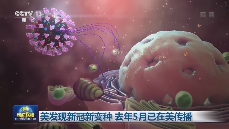 全球新冠肺炎累计确诊病例超9106万