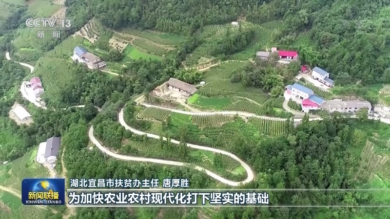 【奋斗百年路 启航新征程·脱贫攻坚答卷】土家山寨木瓜花开