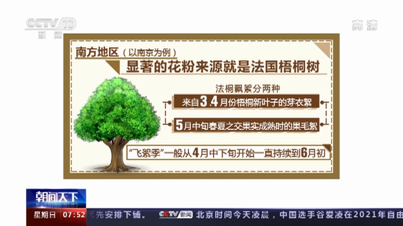 朝闻天下 花粉过敏如何应对春天的 烦恼 远离过敏请查收这份 花粉时间表