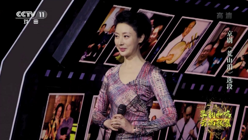 [角儿来了]京剧《荒山泪》选段 操琴:燕守平 演唱:郭玮