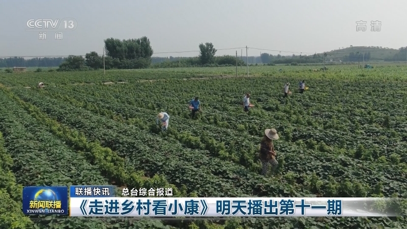 国内联播快讯