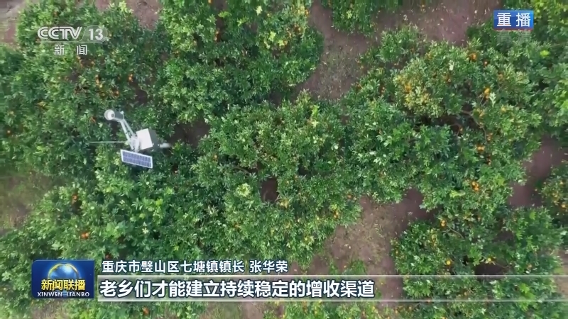 【走进乡村看小康】接续奋斗新起点 乡村振兴新画卷