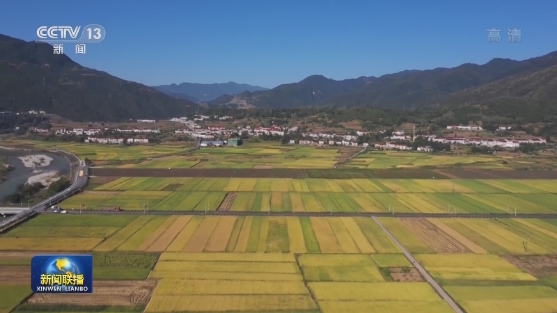 [视频]各地秋粮长势良好 全年粮食丰收在望