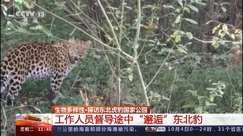 新闻直播间 印度新冠疫情趋缓各地学校纷纷复课 新闻直播间 印度新冠疫情趋缓各地学校纷纷复课